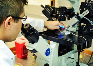 guy working at microscope with micromanipulators